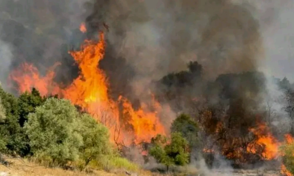 Νέα φωτιά καίει ανεξέλεγκτα στα Κριεζά της Εύβοιας
